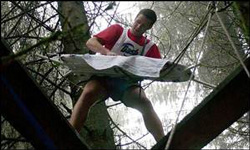 ironing.jpg